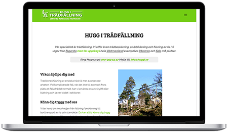 Webbproduktion åt Hugg i Trädfällning i Västmanland